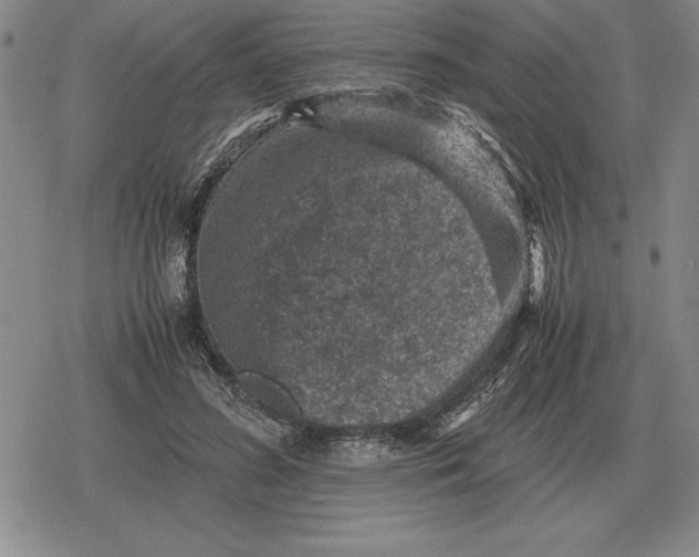 X0000079280596200612081755