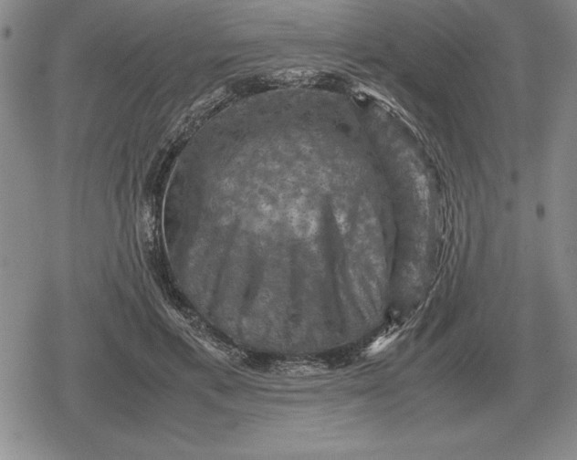 X0000079280597200612081755