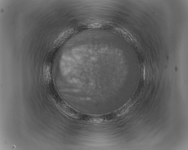 X0000079280598200612081755