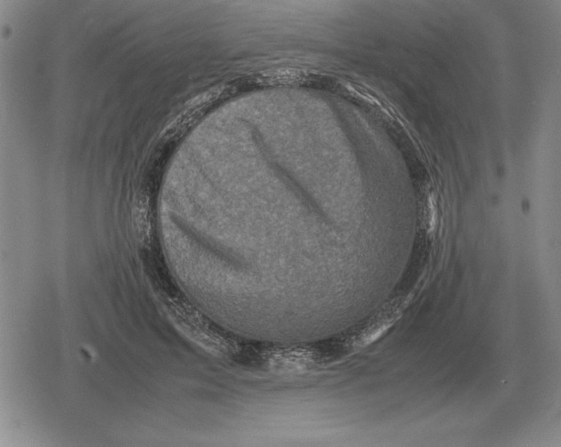 X0000079280599200612081755