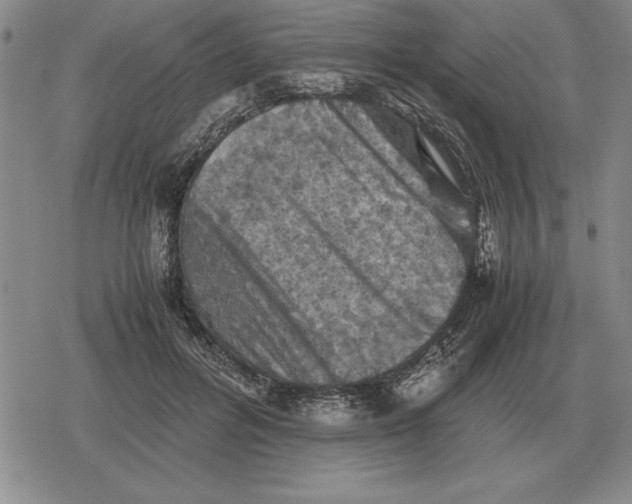 X0000079280600200612081755