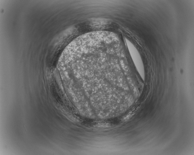 X0000079280601200612081755