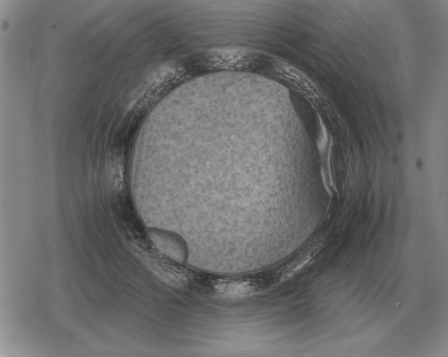 X0000079280602200612081755