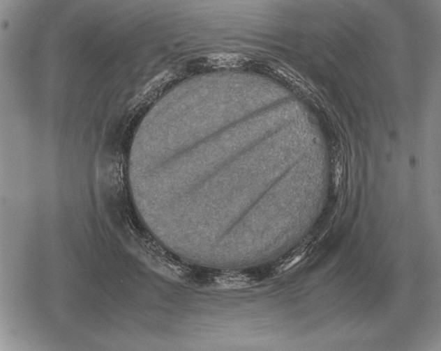 X0000079280603200612081755