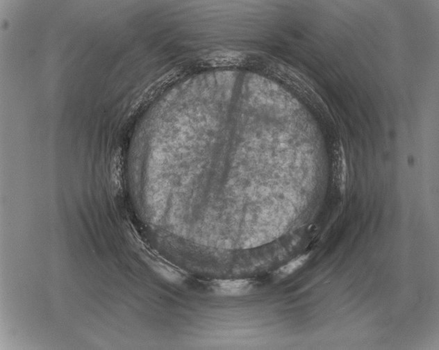 X0000079280604200612081755