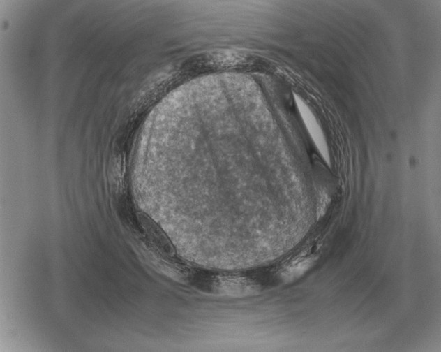 X0000079280605200612081755