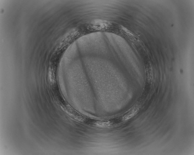 X0000079280606200612081755