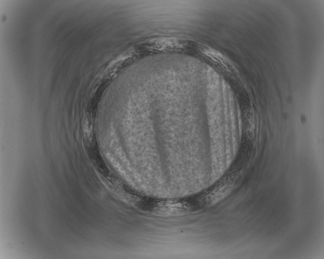 X0000079280607200612081755