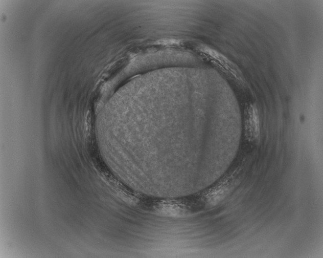 X0000079280608200612081755