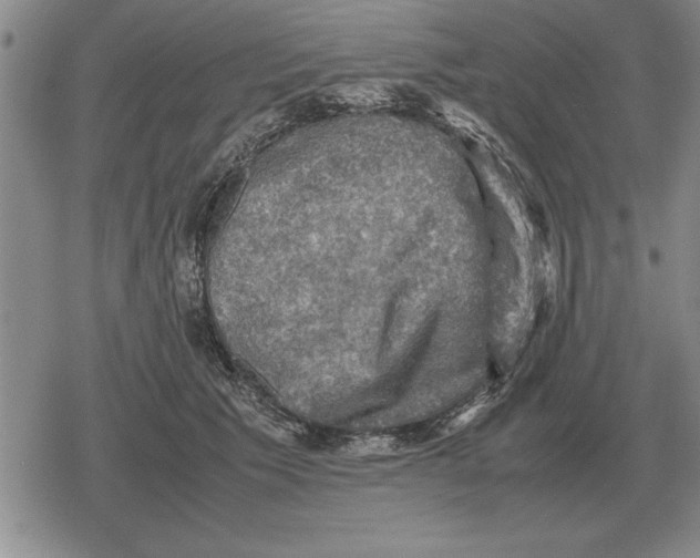 X0000079280609200612081755