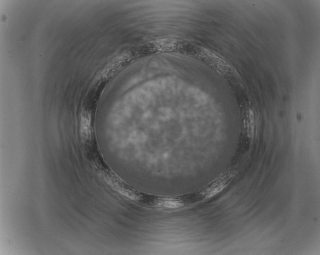 X0000079280610200612081755