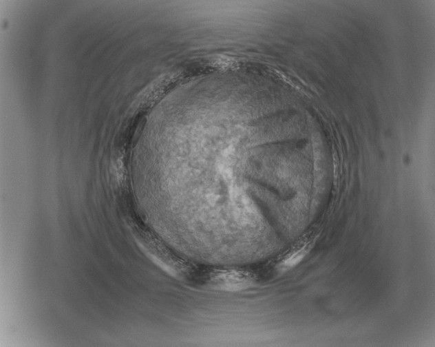 X0000079280611200612081755