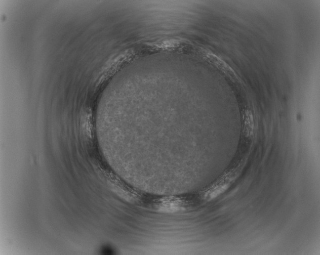 X0000079280612200612081755