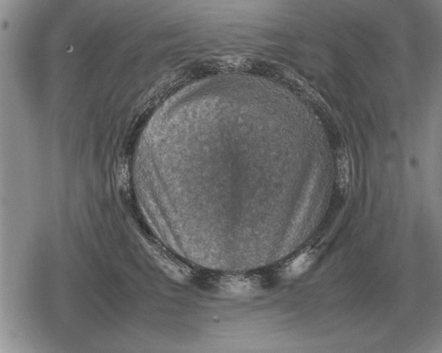 X0000079280613200612081755