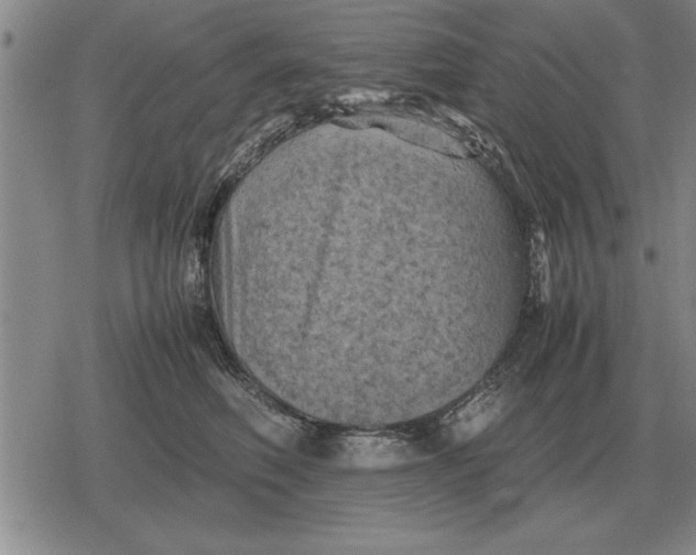 X0000079280614200612081755