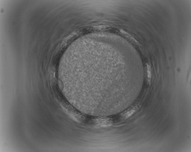 X0000079280615200612081755