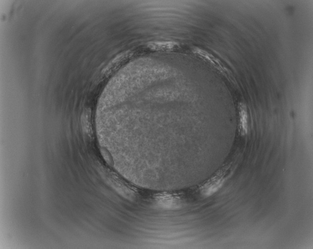 X0000079280616200612081755