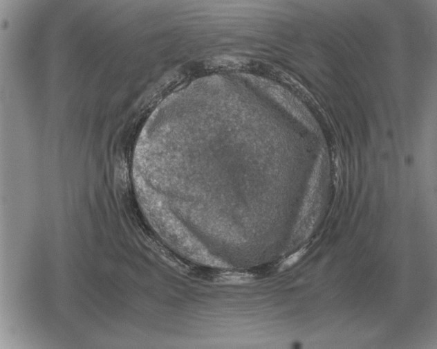 X0000079280617200612081755