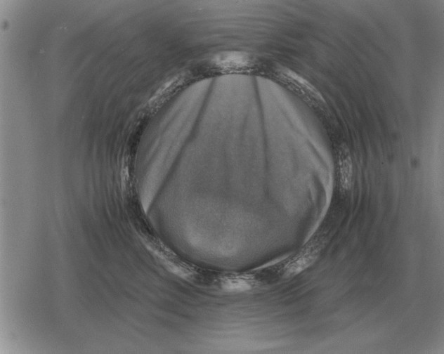 X0000079280618200612081755