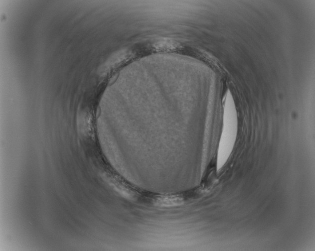 X0000079280619200612081755