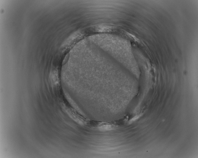 X0000079280620200612081755