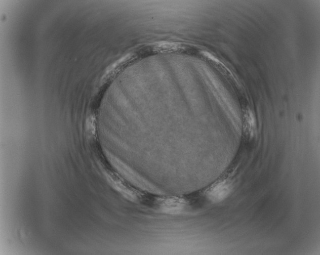 X0000079280621200612081755