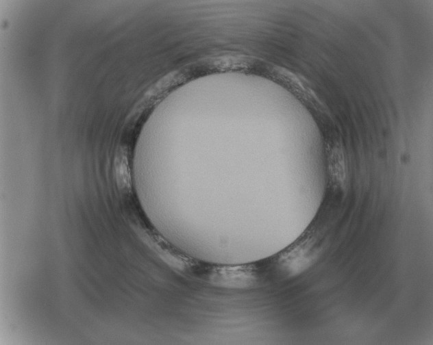 X0000079280622200612081755