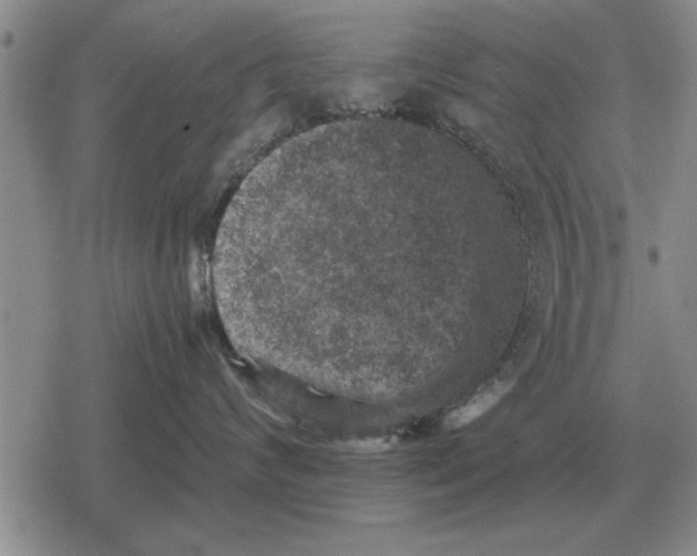 X0000079280624200612081754