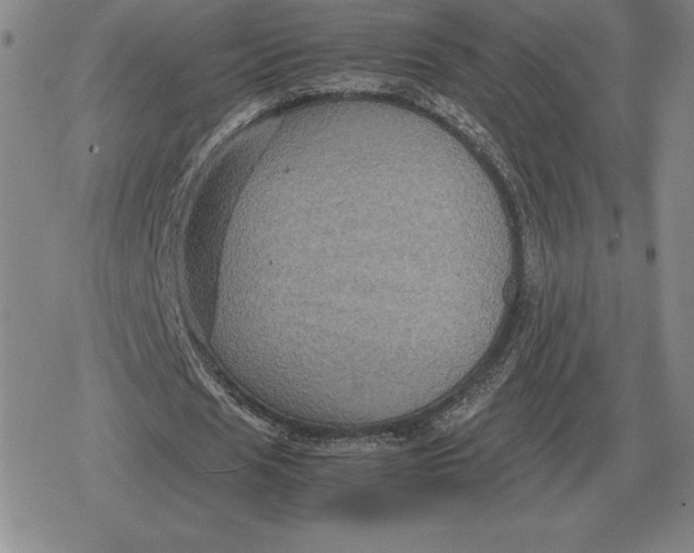 X0000079280625200612081754