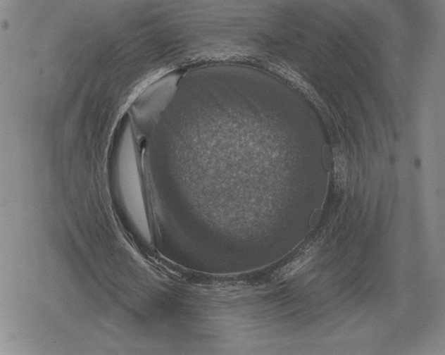 X0000079280626200612081754