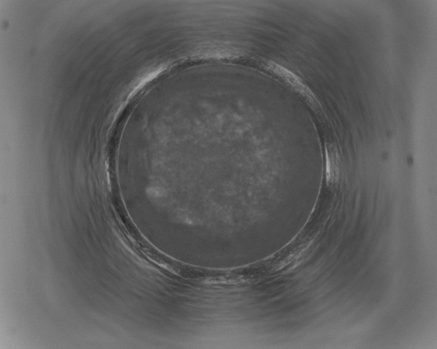 X0000079280627200612081754