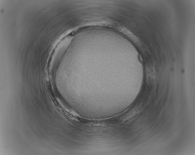 X0000079280628200612081754