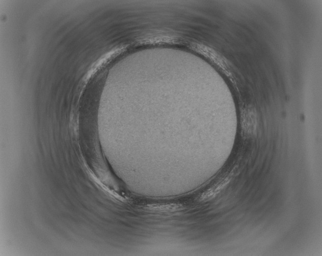 X0000079280629200612081754