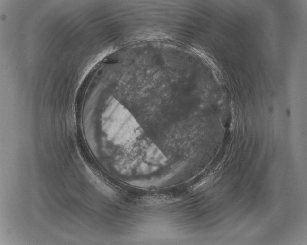 X0000079280630200612081754