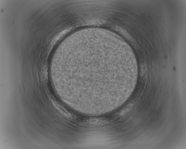 X0000079280632200612081754