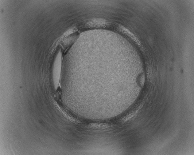 X0000079280633200612081754