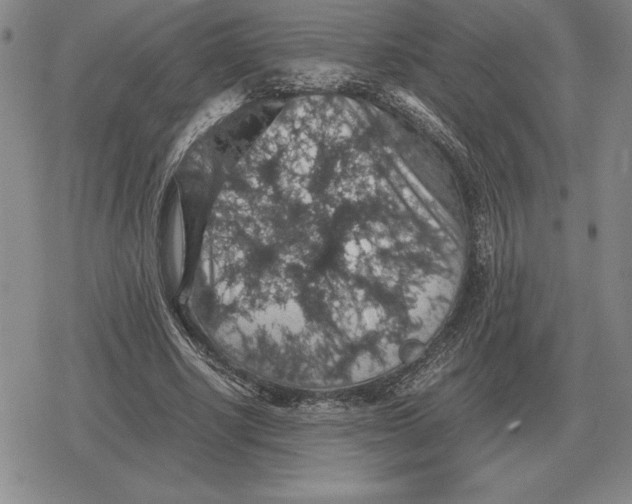 X0000079280634200612081754