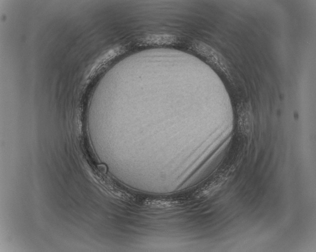 X0000079280635200612081754