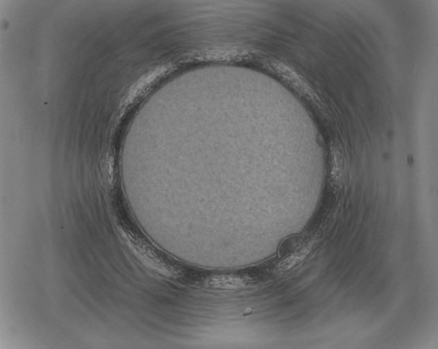 X0000079280636200612081754