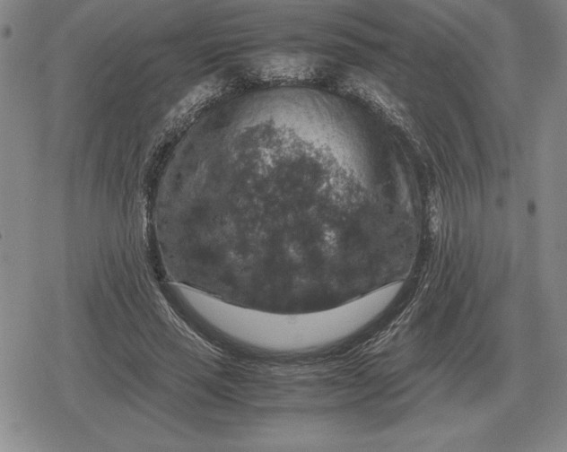 X0000079280637200612081754