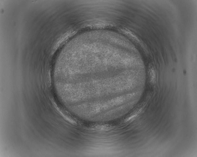 X0000079280638200612081754