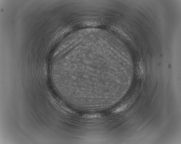 X0000079280639200612081754