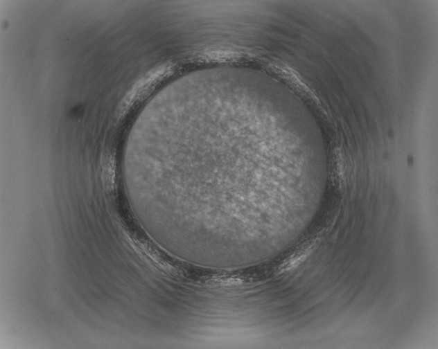 X0000079280640200612081754