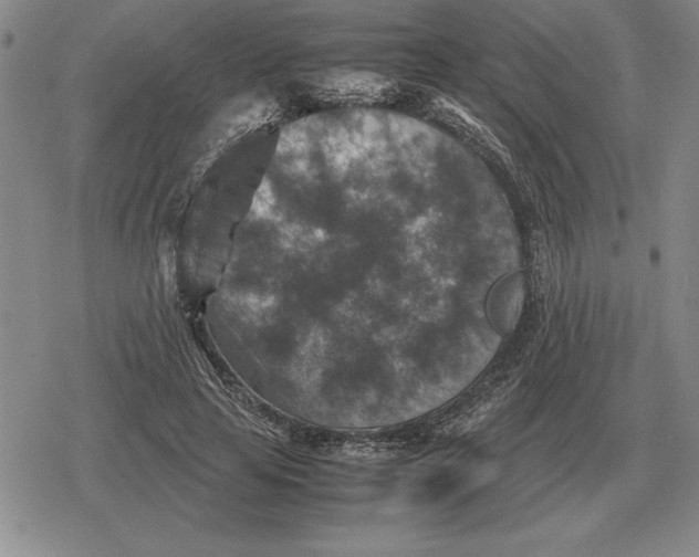 X0000079280641200612081754