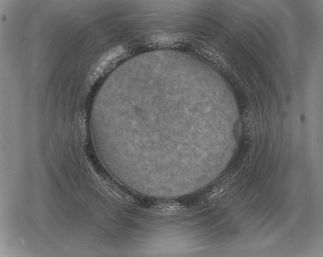 X0000079280642200612081754