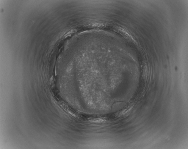 X0000079280643200612081754