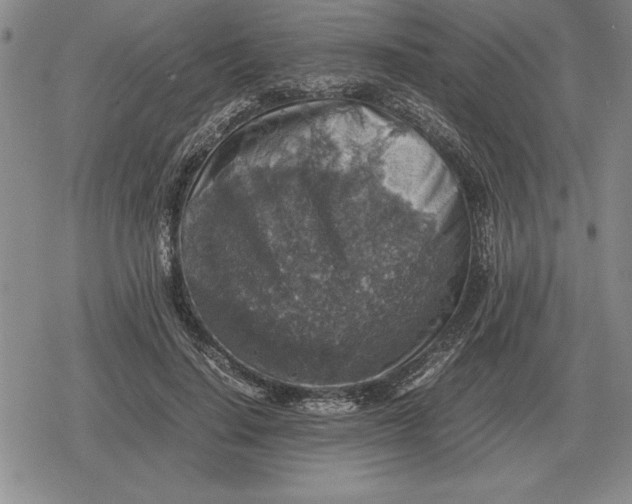 X0000079280644200612081754