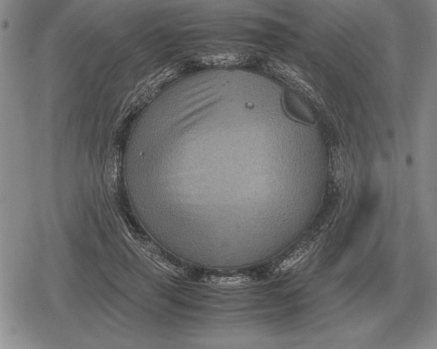 X0000079280645200612081754