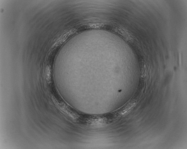 X0000079280646200612081754