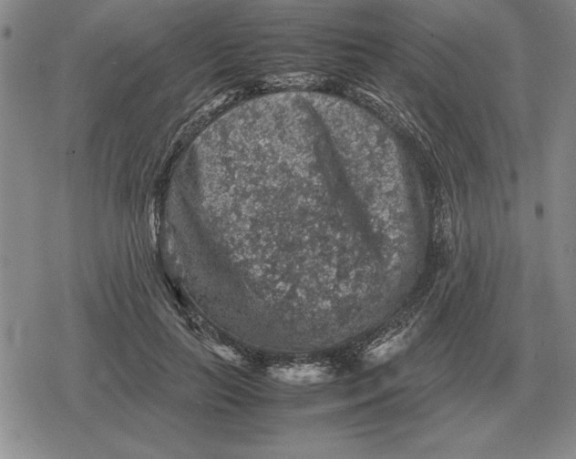 X0000079280647200612081754